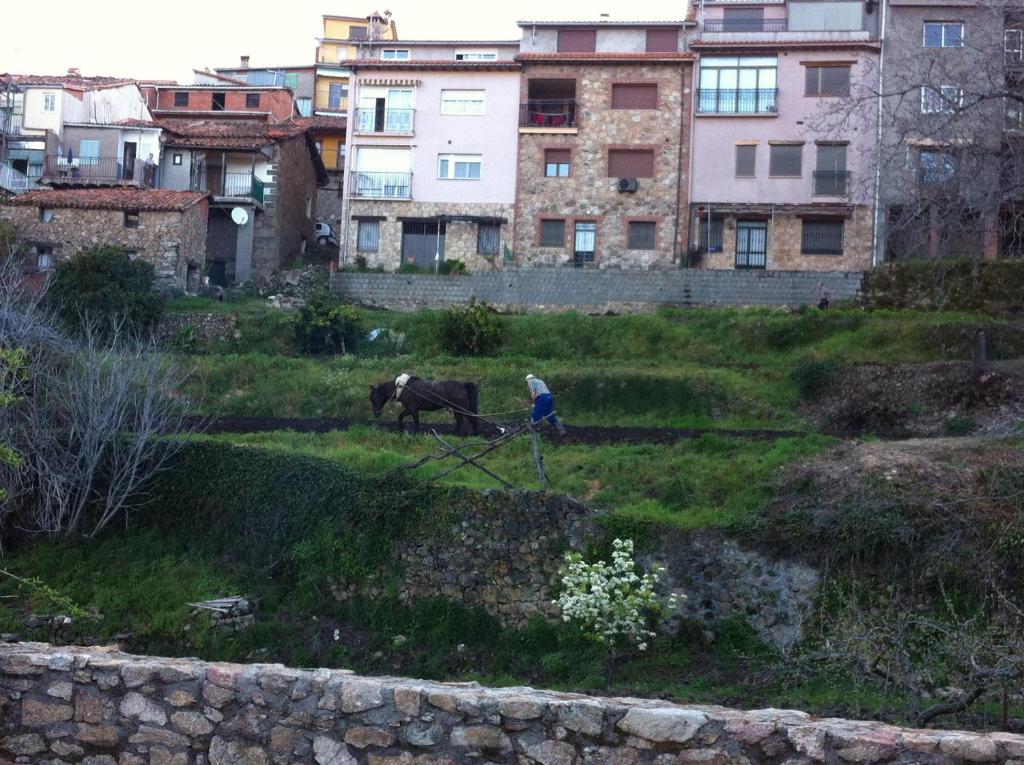 Casa Rural Sierra De Tormantos Guijo de Santa Barbara Bagian luar foto